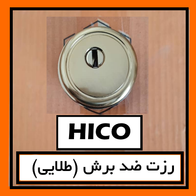 رزت ضد دیلم طلایی سربی هایکو (ضد برش)