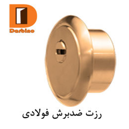 رزت ضد دیلم فولادی (ضد برش)
